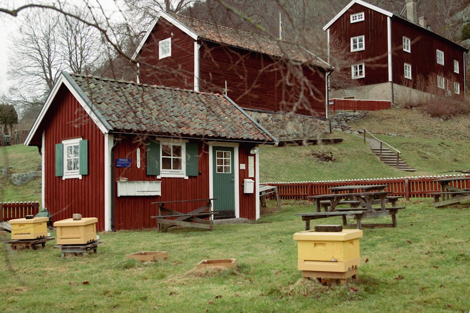 Children and adults joining an outdoor activity