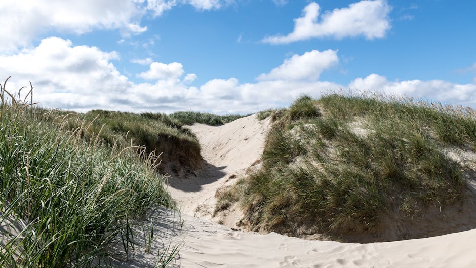 Community meeting scene in Haverdal
